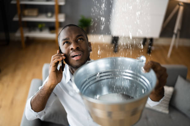 Best Commercial water damage restoration  in Green Valley, SD