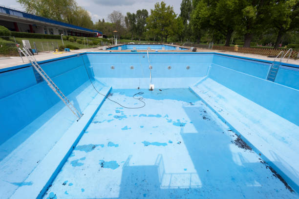 Best Mold removal after water damage  in Green Valley, SD