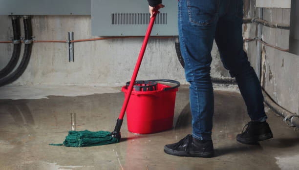 Reliable SD Water damage restoration Solutions