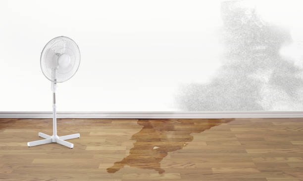  Green Valley, SD Water damage restoration Pros