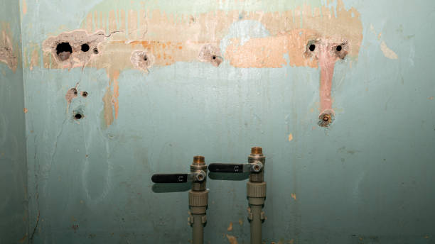 Best Water damage restoration near me  in Green Valley, SD