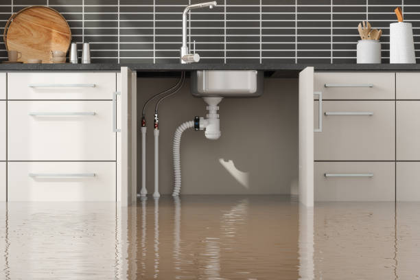 Best Emergency water damage restoration  in Green Valley, SD