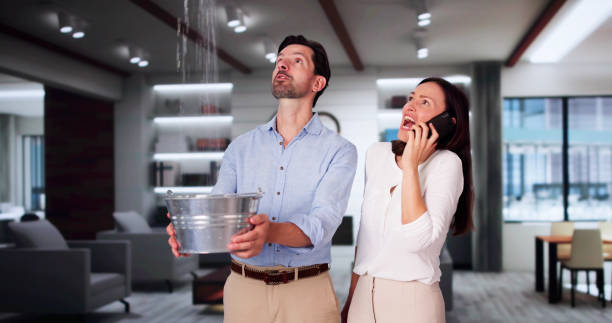 Best Sewage cleanup and water damage restoration  in Green Valley, SD