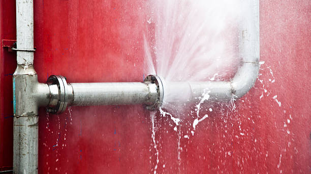 Best Local water damage restoration  in Green Valley, SD