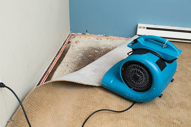 Best 24-hour water damage restoration  in Green Valley, SD